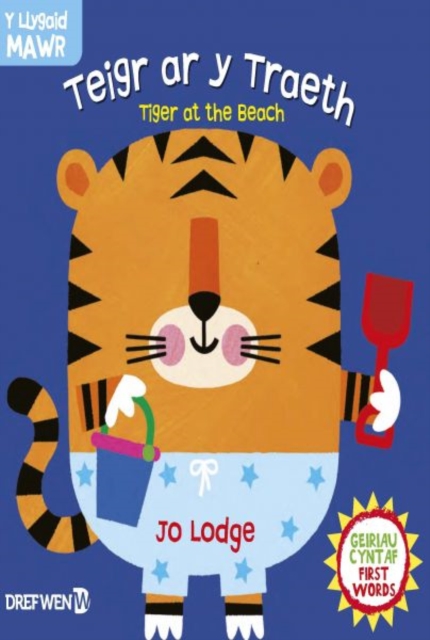 Cyfres y Llygaid Mawr: Teigr ar y Traeth / Tiger at the Beach : Tiger at the Beach, Hardback Book