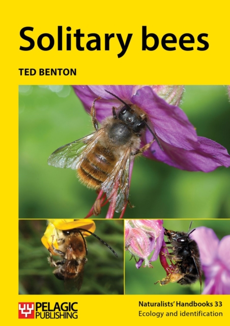 Solitary bees, Paperback / softback Book
