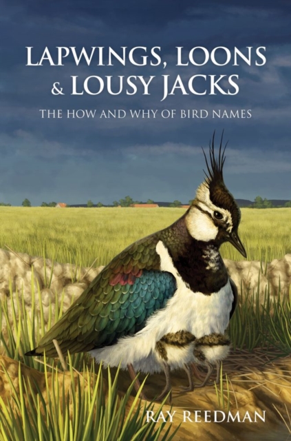 Lapwings, Loons and Lousy Jacks : The How and Why of Bird Names, PDF eBook