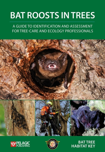 Bat Roosts in Trees : A Guide to Identification and Assessment for Tree-Care and Ecology Professionals, Paperback / softback Book