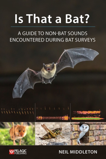 Is That a Bat? : A Guide to Non-Bat Sounds Encountered During Bat Surveys, Paperback / softback Book