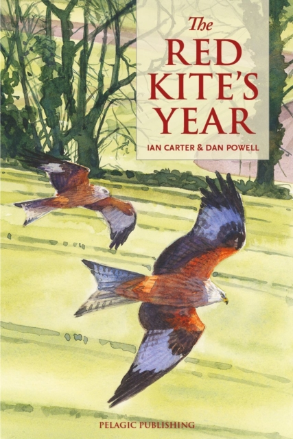 The Red Kites Year, PDF eBook