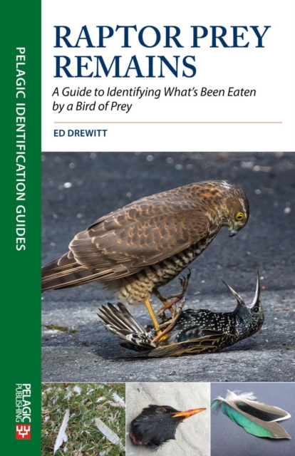 Raptor Prey Remains : A Guide to Identifying Whats Been Eaten by a Bird of Prey, EPUB eBook