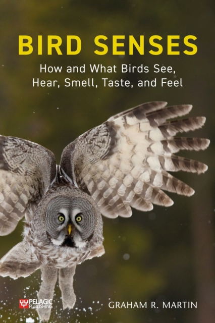 Bird Senses : How and What Birds See, Hear, Smell, Taste and Feel, EPUB eBook