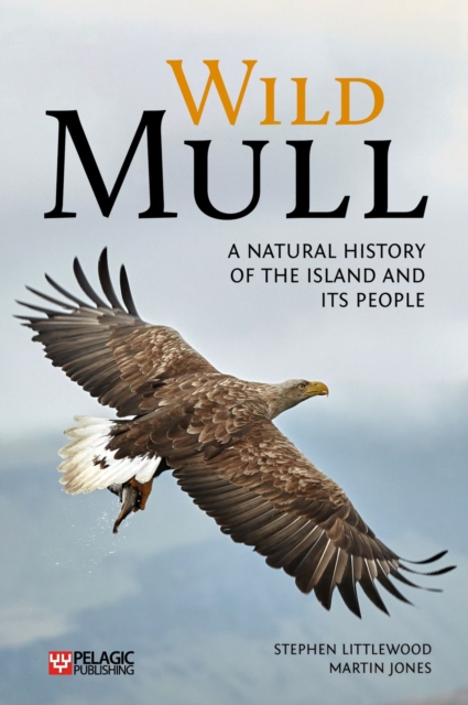 Wild Mull : A Natural History of the Island and its People, Paperback / softback Book