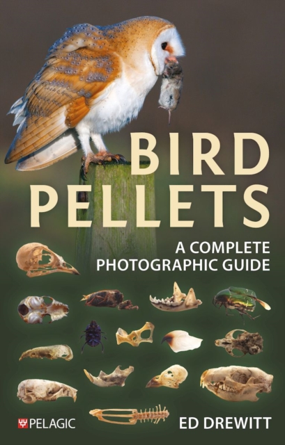Bird Pellets : A Complete Photographic Guide, Paperback / softback Book