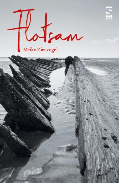 Flotsam, EPUB eBook