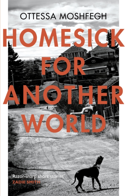 Homesick For Another World, Paperback / softback Book