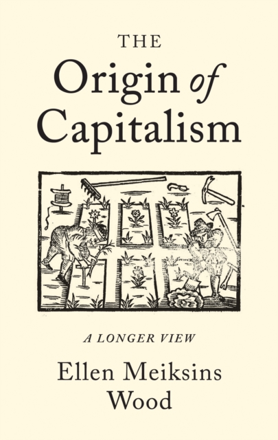 The Origin of Capitalism : A Longer View, EPUB eBook