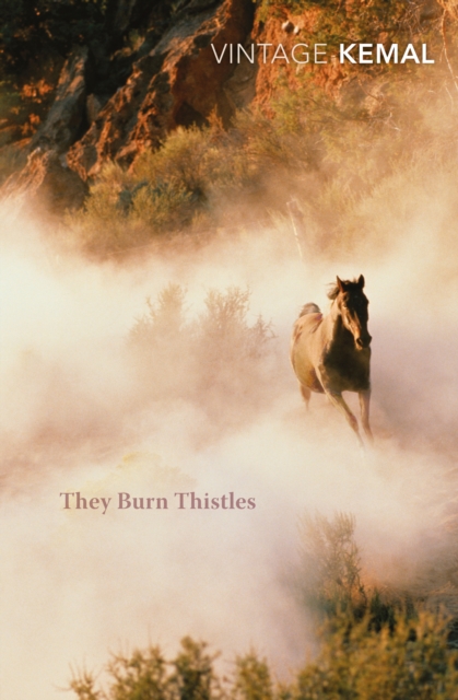 They Burn Thistles, Paperback / softback Book