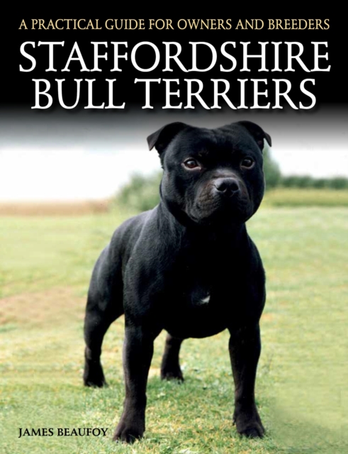 Staffordshire Bull Terriers, EPUB eBook