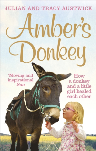 Amber's Donkey : How a donkey and a little girl healed each other, Paperback / softback Book