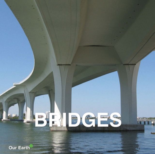 Bridges, PDF eBook