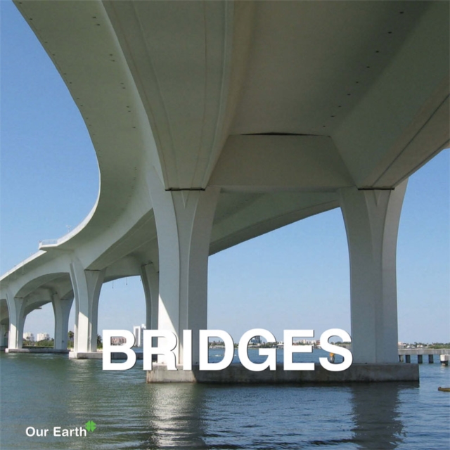 Bridges, EPUB eBook