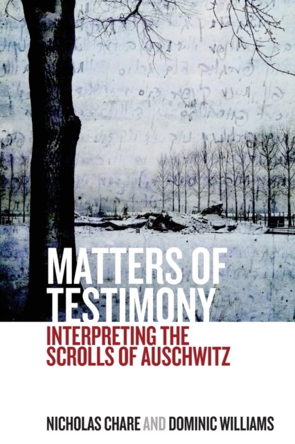 Matters of Testimony : Interpreting the Scrolls of Auschwitz, Paperback / softback Book