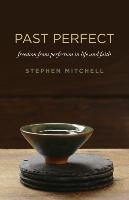 Past Perfect : freedom from perfection in life and faith, EPUB eBook