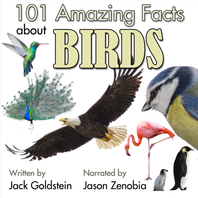 101 Amazing Facts about Birds, eAudiobook MP3 eaudioBook