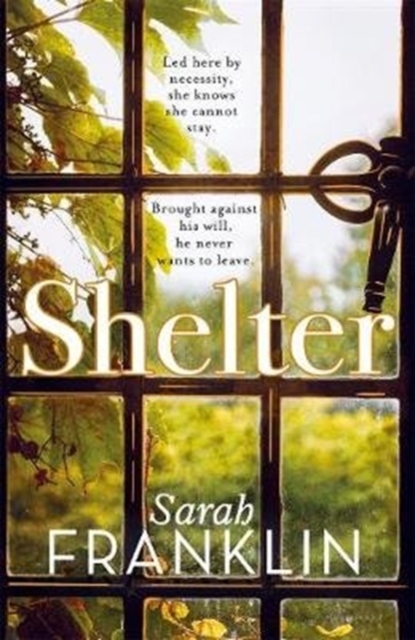 Shelter : ‘One of the year's hottest debuts’, Hardback Book