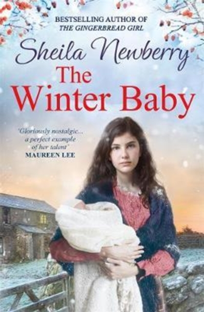 The Winter Baby : A perfect, heartwarming winter story from the Queen of Family Saga, Paperback / softback Book