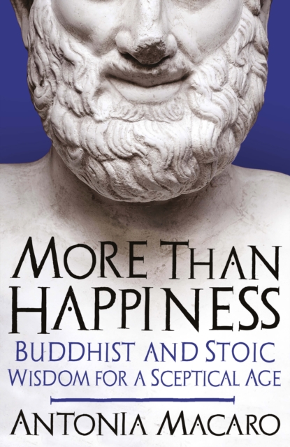 More Than Happiness, EPUB eBook