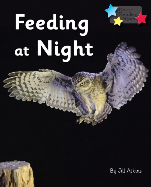 Feeding at Night : Phonics Phase 3, PDF eBook
