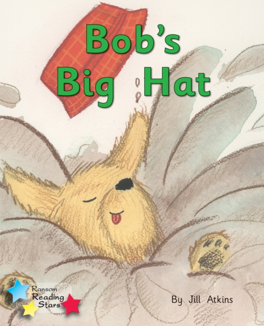 Bob and the Hat : Phonics Phase 2, Paperback / softback Book