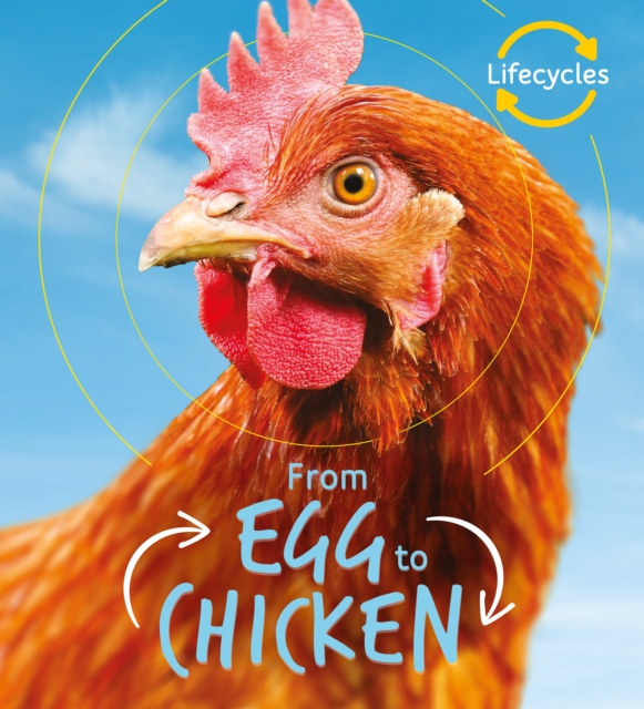 Lifecycles: Egg to Chicken, Paperback / softback Book