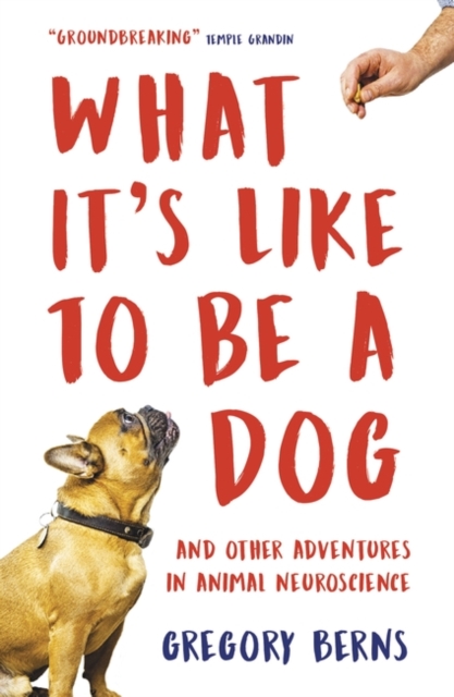 What It's Like to Be a Dog : And Other Adventures in Animal Neuroscience, Paperback / softback Book