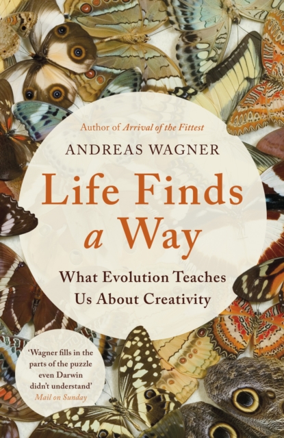 Life Finds a Way : What Evolution Teaches Us About Creativity, Hardback Book