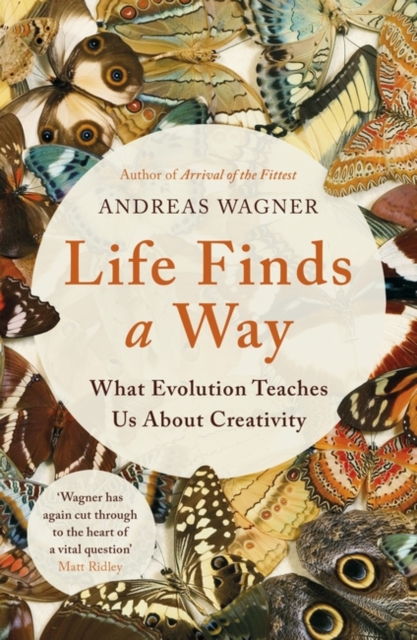 Life Finds a Way : What Evolution Teaches Us About Creativity, Paperback / softback Book