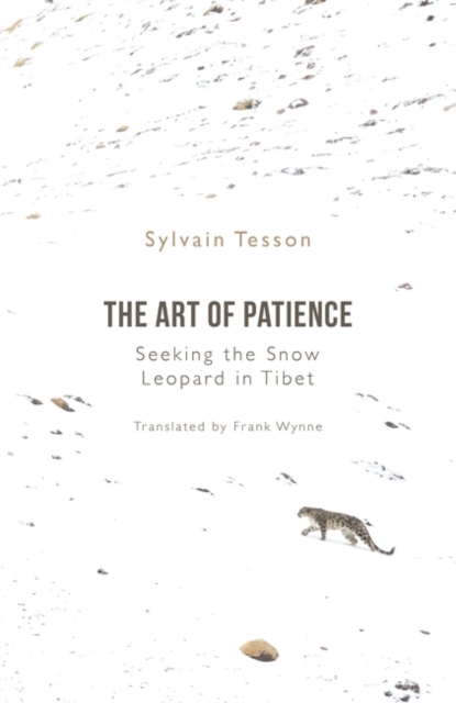 The Art of Patience : Seeking the Snow Leopard in Tibet, Hardback Book