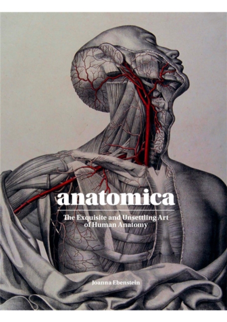 Anatomica : The Exquisite and Unsettling Art of Human Anatomy, Hardback Book