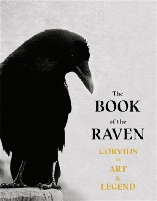 The Book of the Raven : Corvids in Art and Legend, Paperback / softback Book