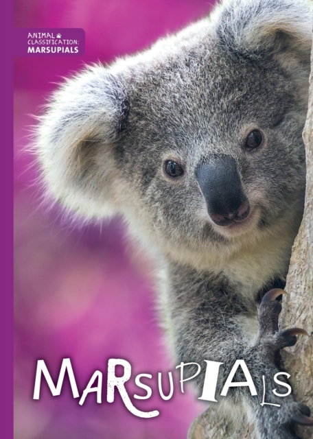 Marsupials, Hardback Book