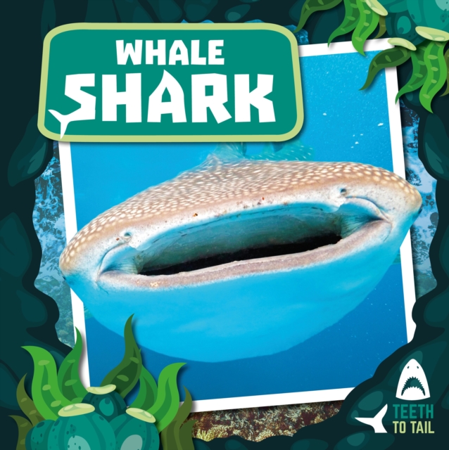 Whale Shark : Teeth to Tail, Hardback Book