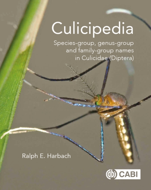 Culicipedia : Species-group, genus-group and family-group names in Culicidae (Diptera), Hardback Book