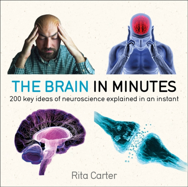 The Brain in Minutes, Paperback / softback Book
