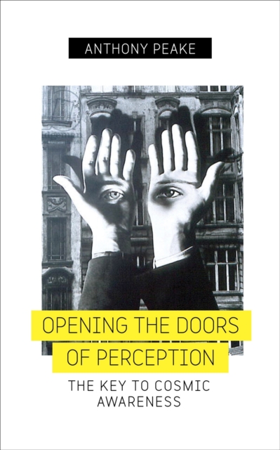 Opening the Doors of Perception, EPUB eBook