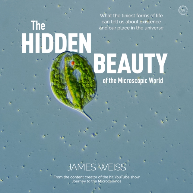 The Hidden Beauty of the Microscopic World : What the tiniest forms of life can tell us about existence and our place in the universe, Hardback Book