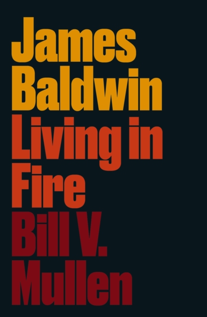 James Baldwin : Living in Fire, PDF eBook