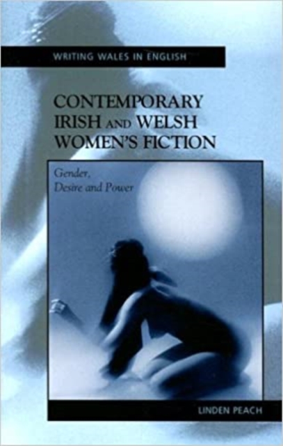 Contemporary Irish and Welsh Women's Fiction : Gender, Desire and Power, PDF eBook