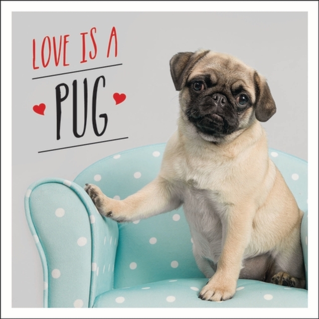Love is a Pug : A Pugtastic Celebration of The World's Cutest Dogs, EPUB eBook