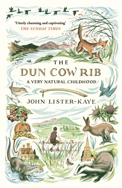 The Dun Cow Rib : A Very Natural Childhood, Paperback / softback Book