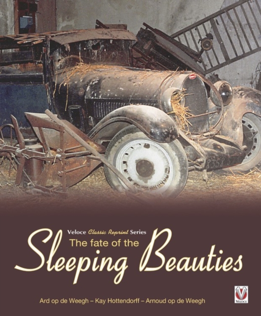 The Fate of the Sleeping Beauties, Paperback / softback Book