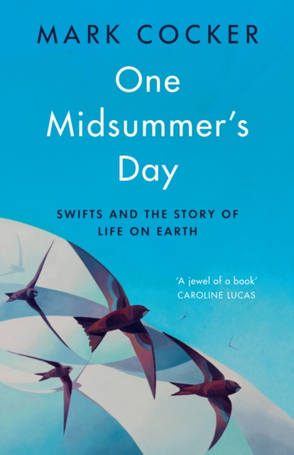One Midsummer's Day : Swifts and the Story of Life on Earth, Hardback Book