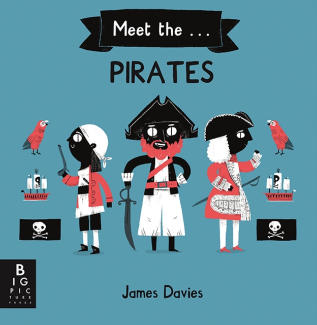 Meet the Pirates, Hardback Book
