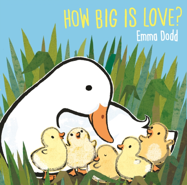How Big Is Love?, Hardback Book