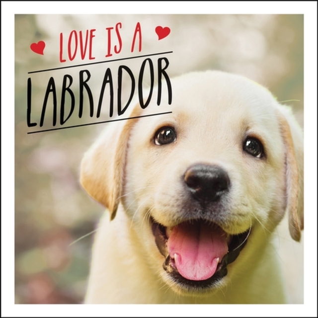 Love is a Labrador : A Lab-Tastic Celebration of the World's Favourite Dog, EPUB eBook
