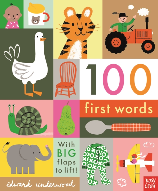 100 First Words, Board book Book