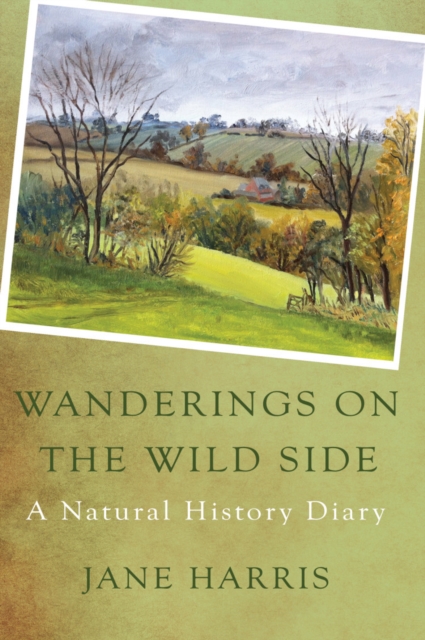 Wanderings on the Wild Side : A Natural History Diary, Hardback Book